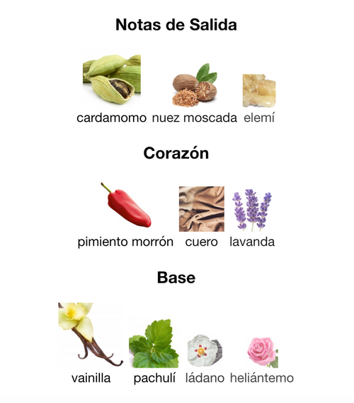 Afnan 9 PM Elixir/Parfum