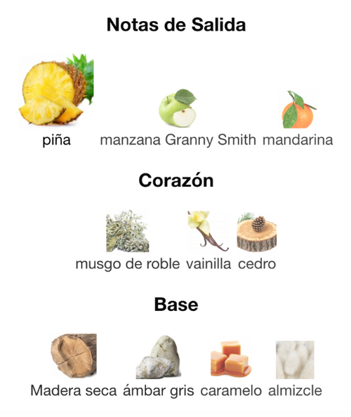 Afnan 9 PM Rebel-EDP